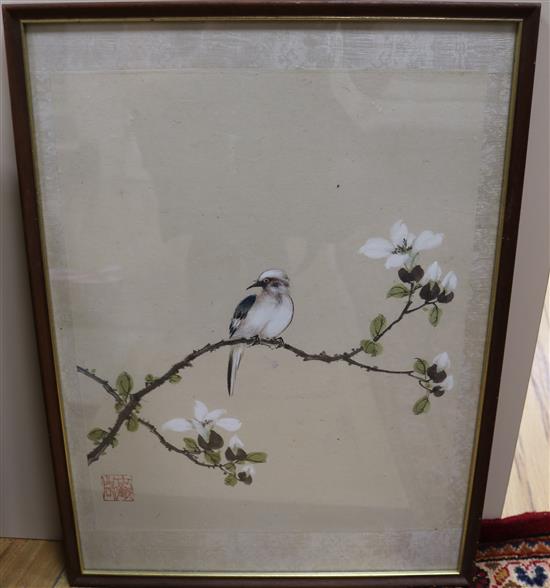 Chinese School Studies of birds and flowers 14.5 x 11.5in.